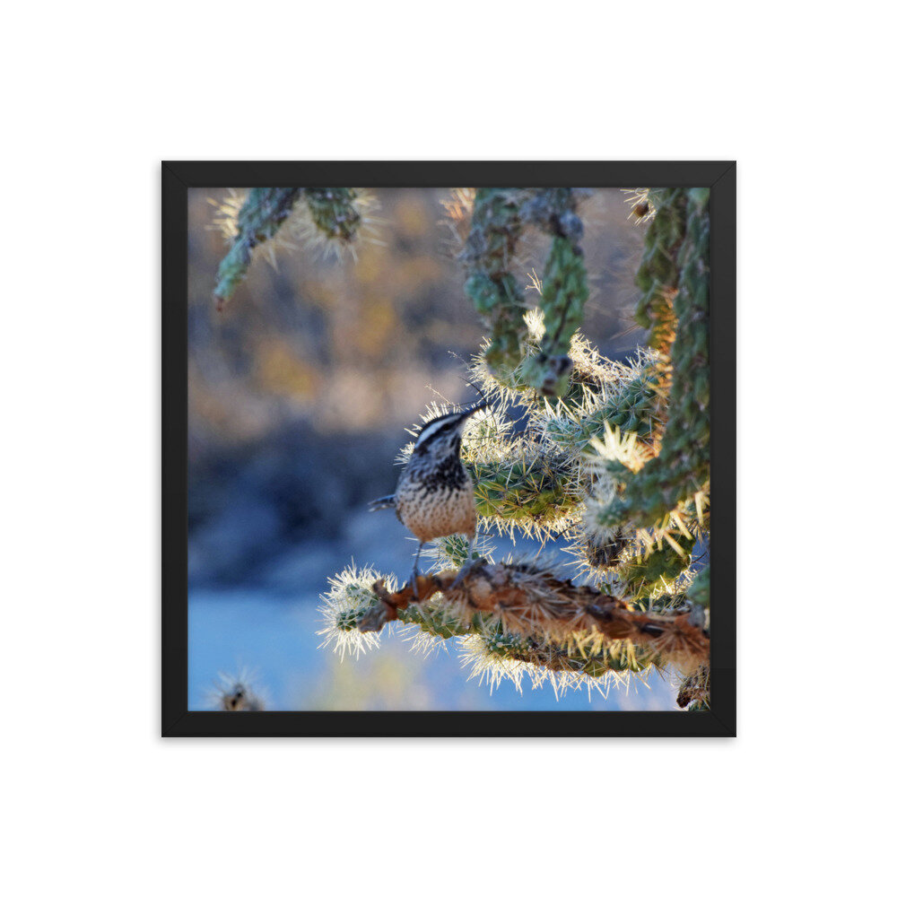 enhanced-matte-paper-framed-poster-(in)-black-16x16-5fe69a0d29fa0.jpg