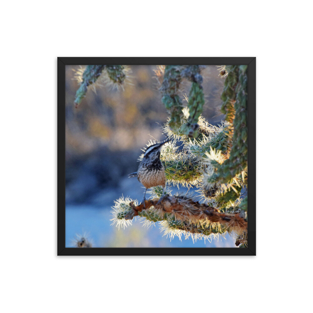 enhanced-matte-paper-framed-poster-(in)-black-18x18-5fe69a0d2a071.jpg