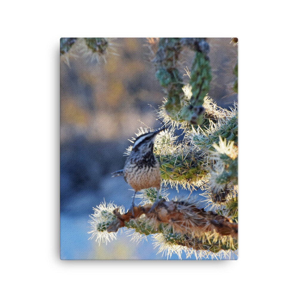 canvas-(in)-16x20-5fe69a67e6199.jpg