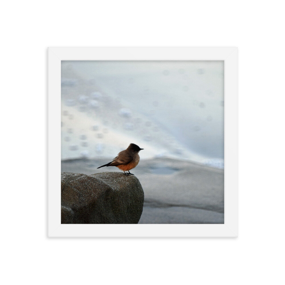 enhanced-matte-paper-framed-poster-(in)-white-10x10-5febf2135f2b9.jpg
