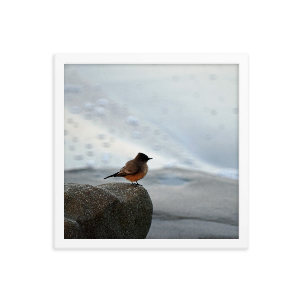 enhanced-matte-paper-framed-poster-(in)-white-14x14-5febf2135f3e5.jpg