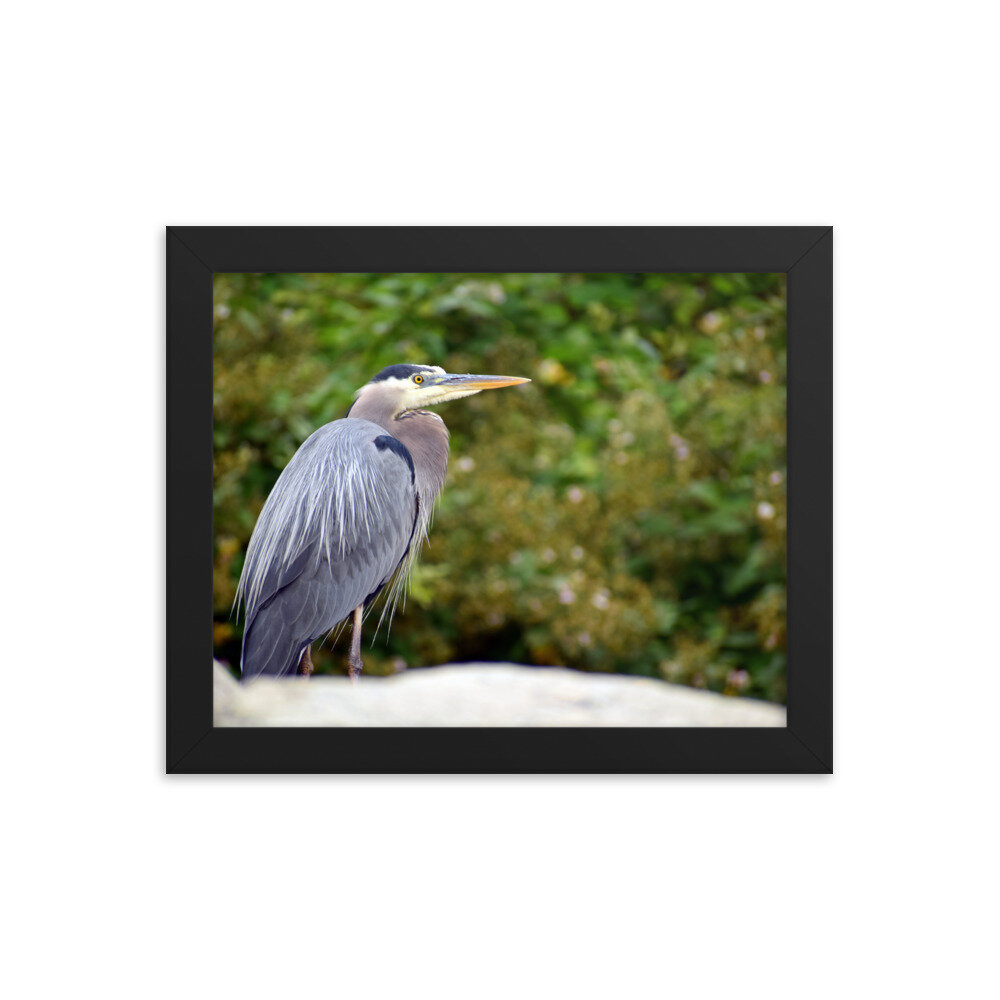enhanced-matte-paper-framed-poster-(in)-black-8x10-5febfa734fe24.jpg