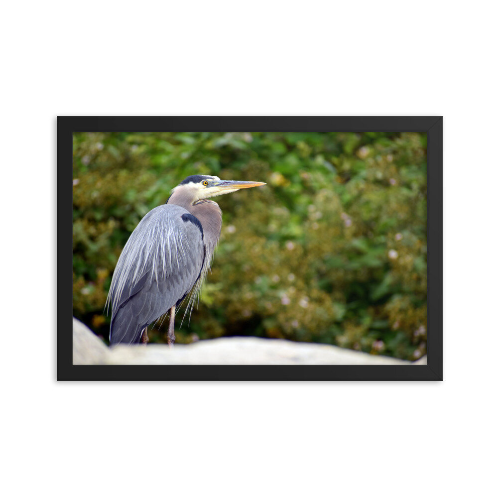 enhanced-matte-paper-framed-poster-(in)-black-12x18-5febfa735002f.jpg