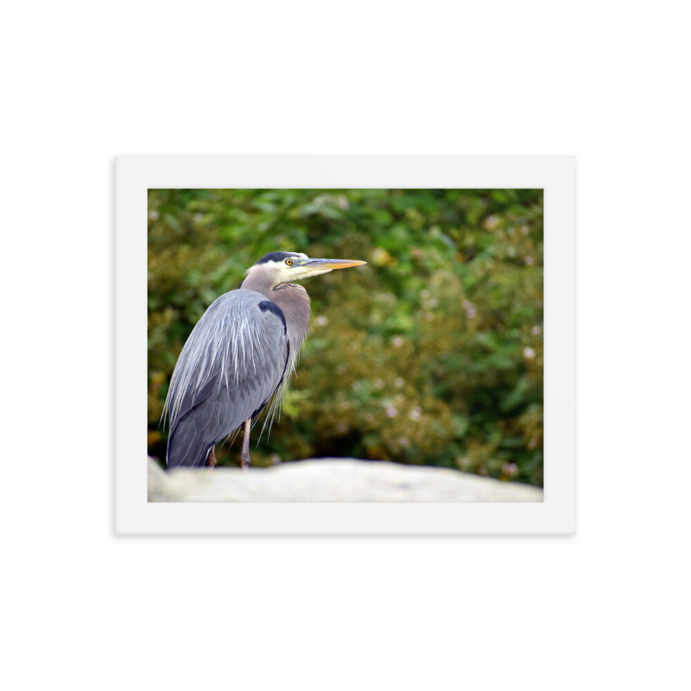 enhanced-matte-paper-framed-poster-(in)-white-8x10-5febfa73501ee.jpg