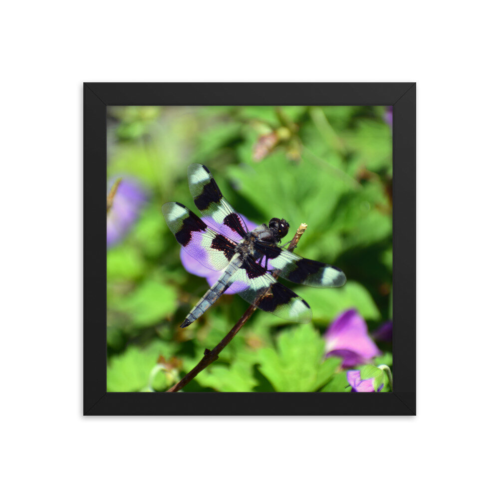 enhanced-matte-paper-framed-poster-(in)-black-10x10-5febfc8d46504.jpg