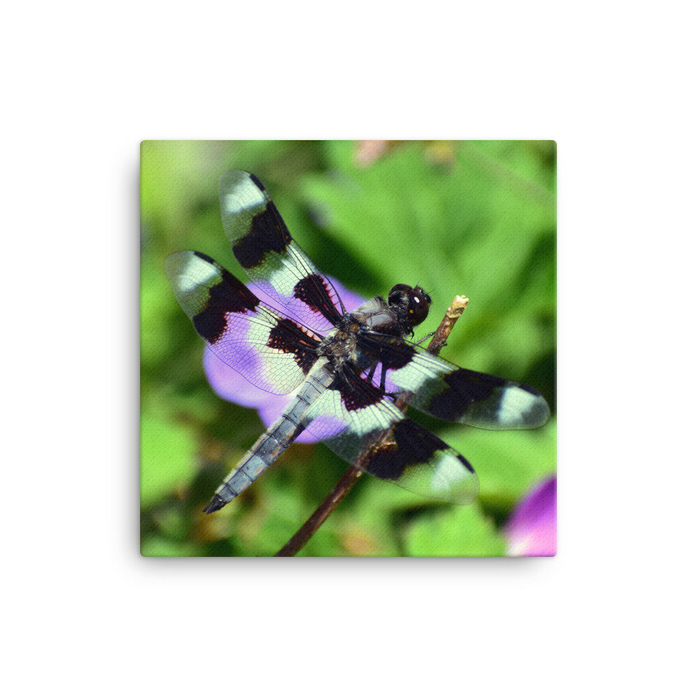 canvas-(in)-12x12-5febfccf9ce65.jpg
