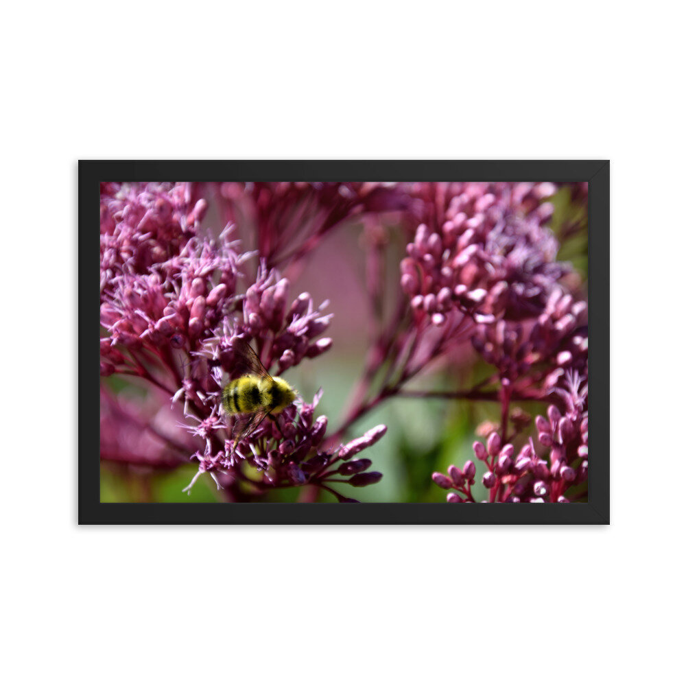 enhanced-matte-paper-framed-poster-(in)-black-12x18-6004ed1476cd1.jpg
