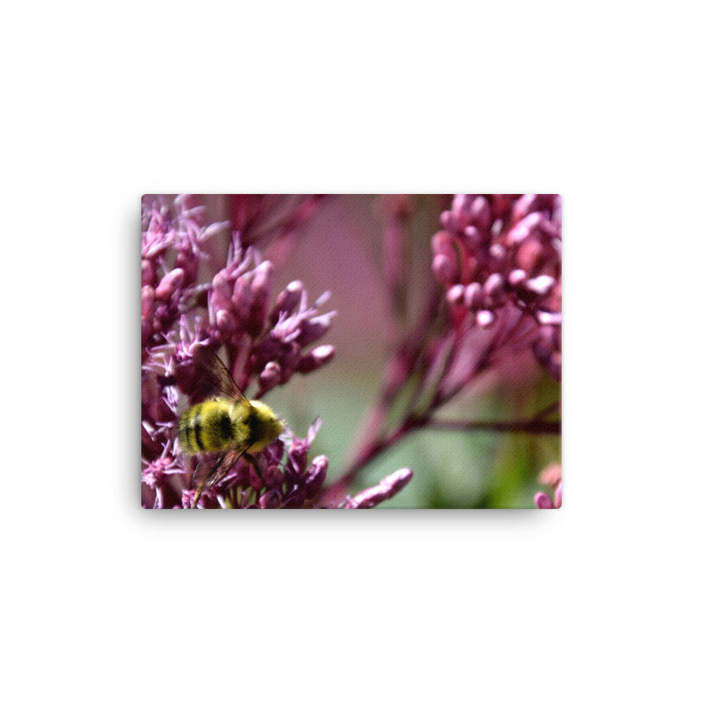 canvas-(in)-12x16-6004edb03a9d1.jpg