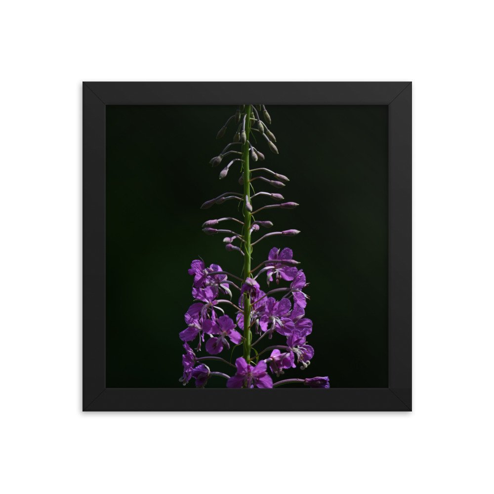 enhanced-matte-paper-framed-poster-(in)-black-10x10-transparent-654fd504ac5e8.jpg