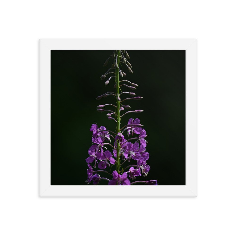 enhanced-matte-paper-framed-poster-(in)-white-10x10-transparent-654fd504ac9d3.jpg