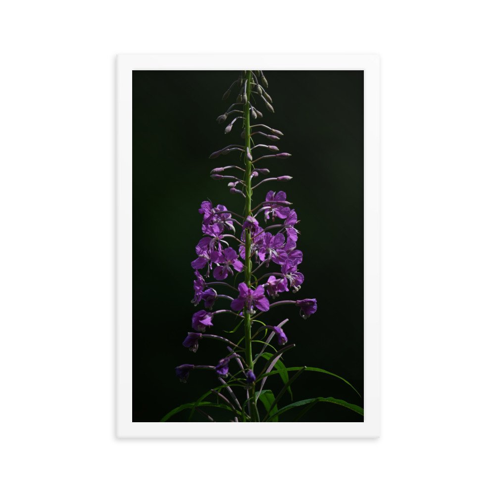enhanced-matte-paper-framed-poster-(in)-white-12x18-transparent-654fd504acb30.jpg