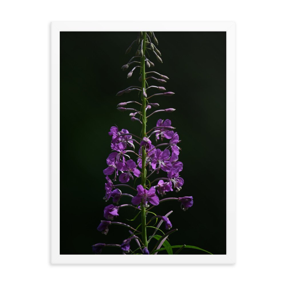 enhanced-matte-paper-framed-poster-(in)-white-18x24-transparent-654fd504acdea.jpg
