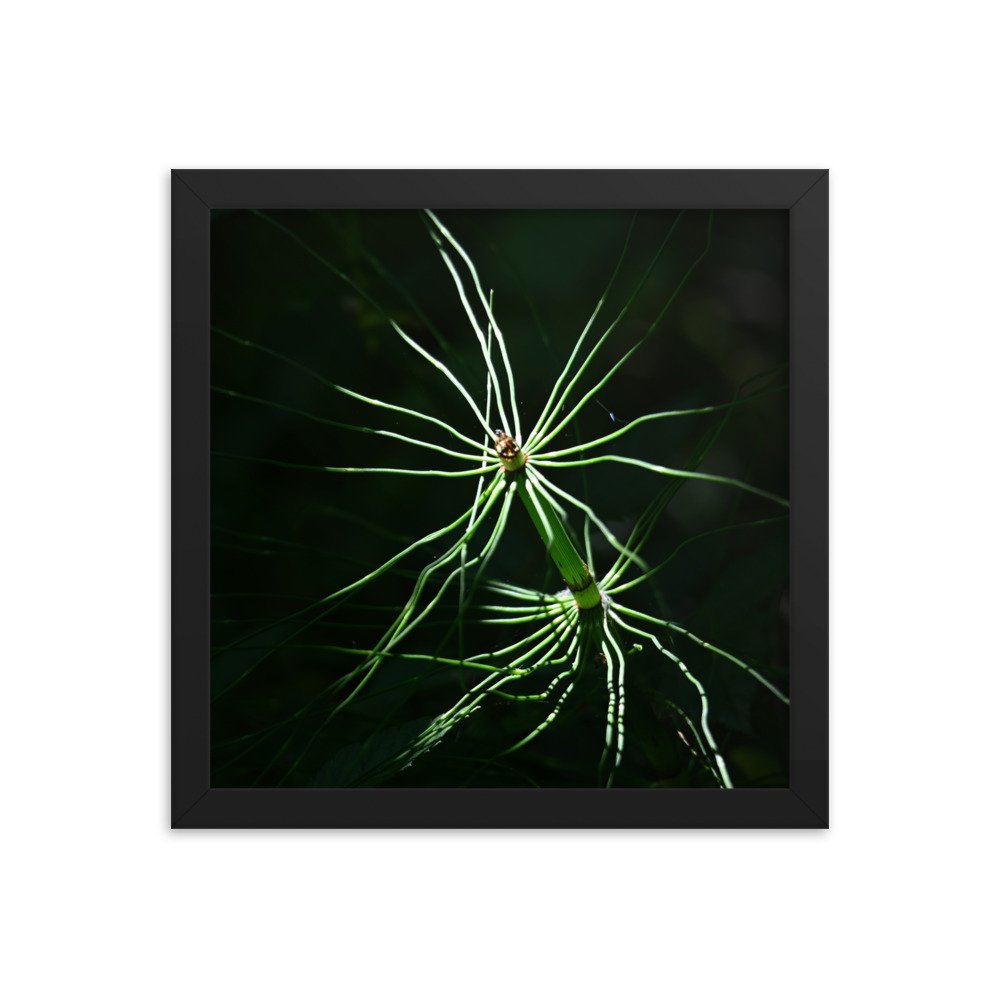 enhanced-matte-paper-framed-poster-(in)-black-12x12-transparent-654fd7f74f323.jpg