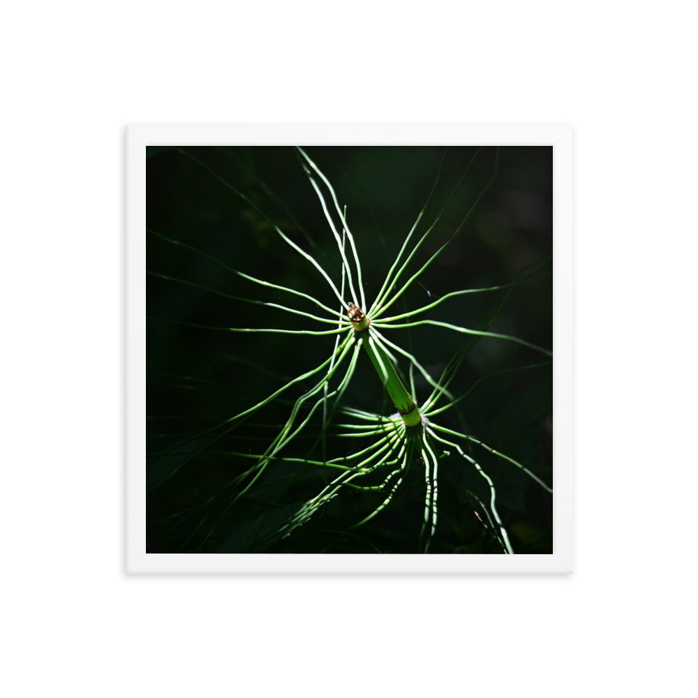 enhanced-matte-paper-framed-poster-(in)-white-16x16-transparent-654fd7f74fa50.jpg