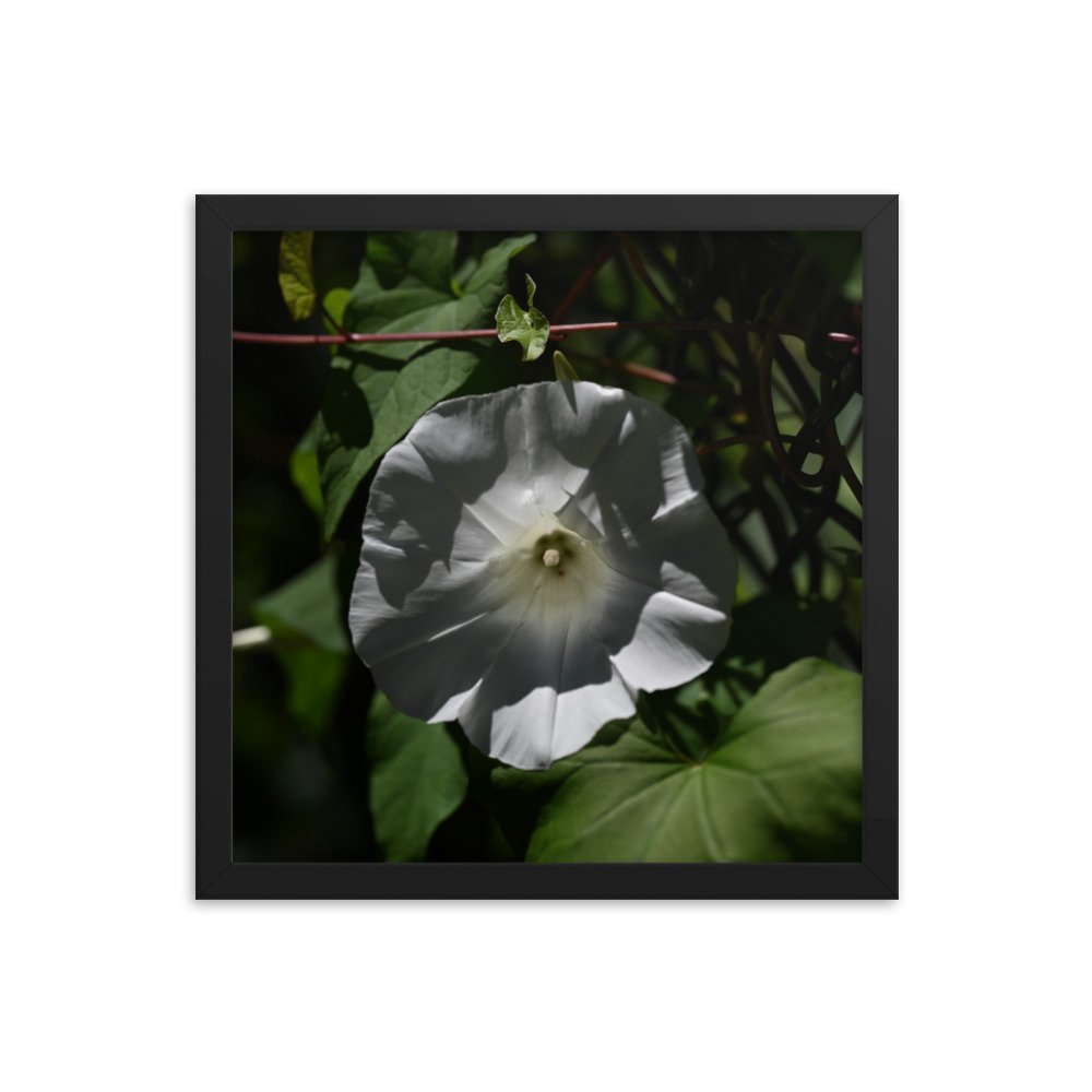 enhanced-matte-paper-framed-poster-(in)-black-14x14-transparent-654fdb328cf33.jpg