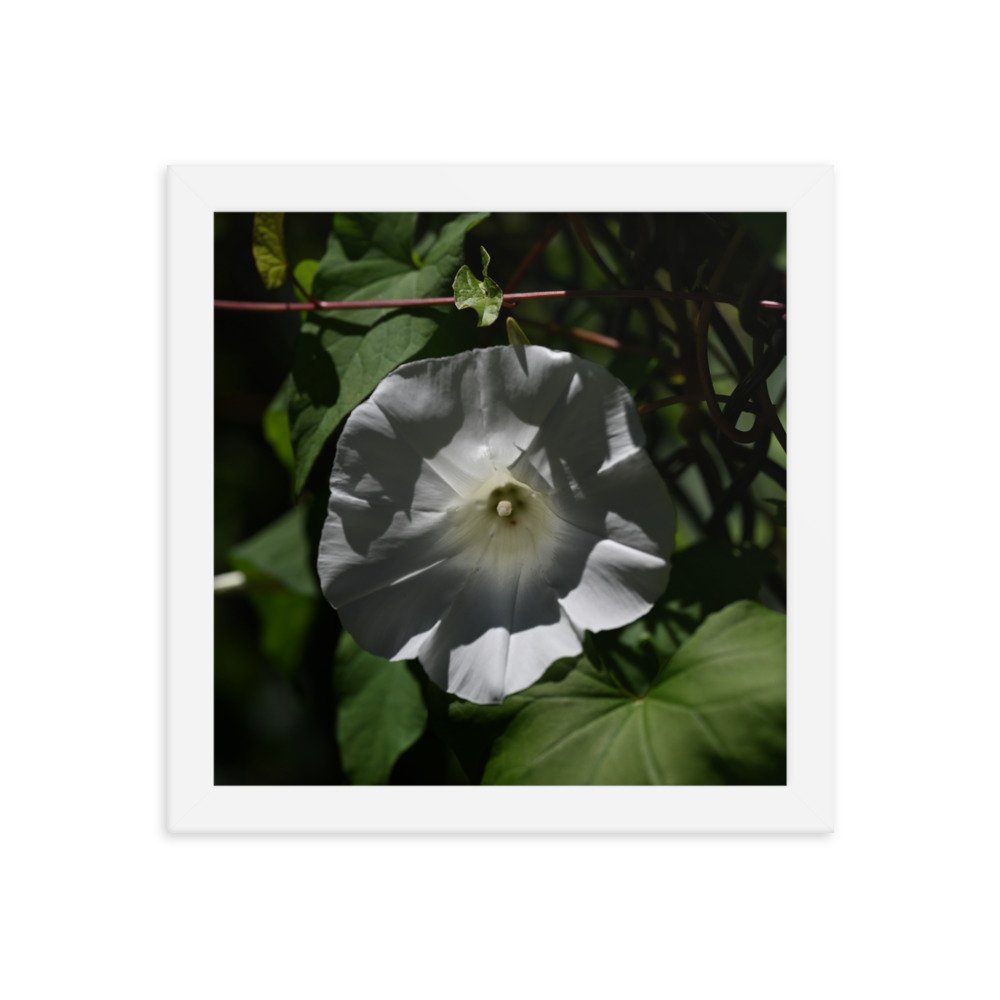 enhanced-matte-paper-framed-poster-(in)-white-10x10-transparent-654fdb328d13a.jpg