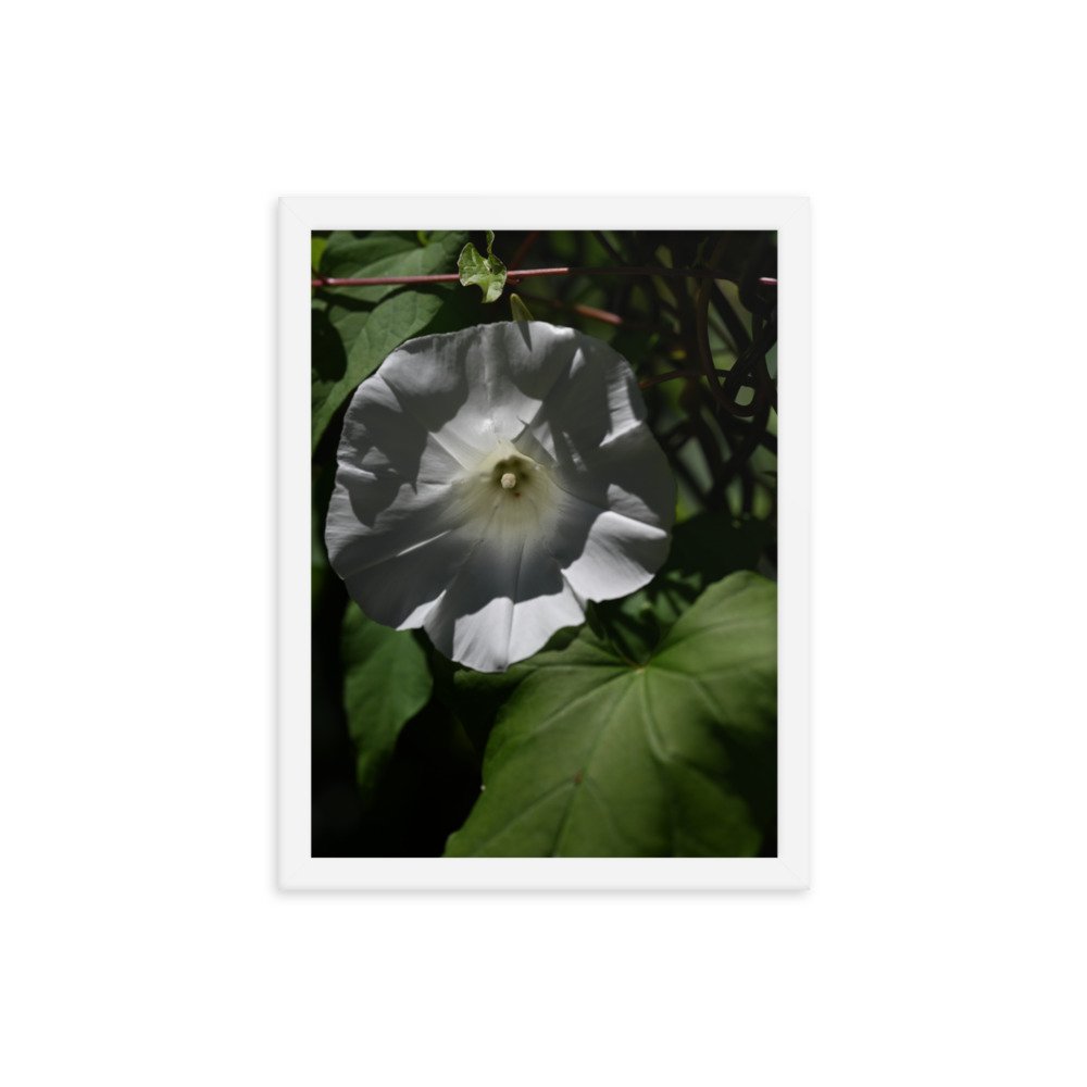 enhanced-matte-paper-framed-poster-(in)-white-12x16-transparent-654fdb328d205.jpg