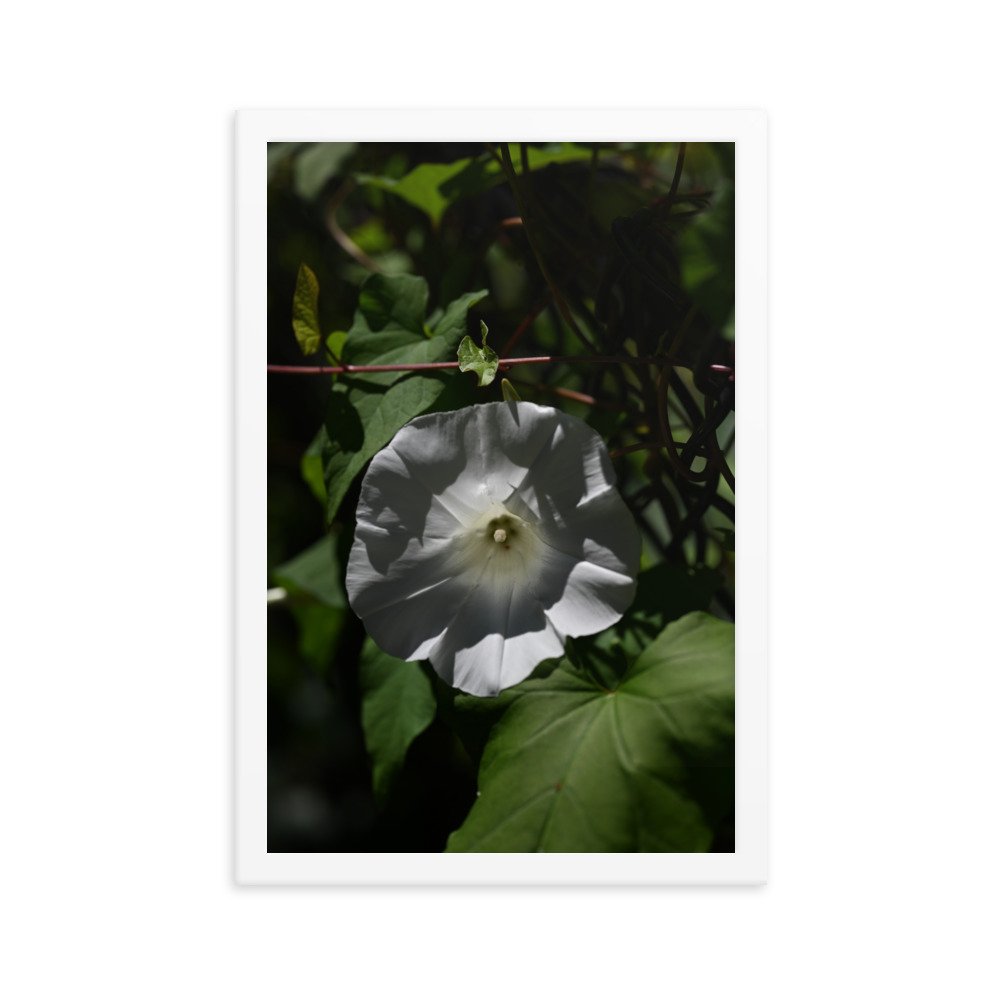 enhanced-matte-paper-framed-poster-(in)-white-12x18-transparent-654fdb328d28d.jpg