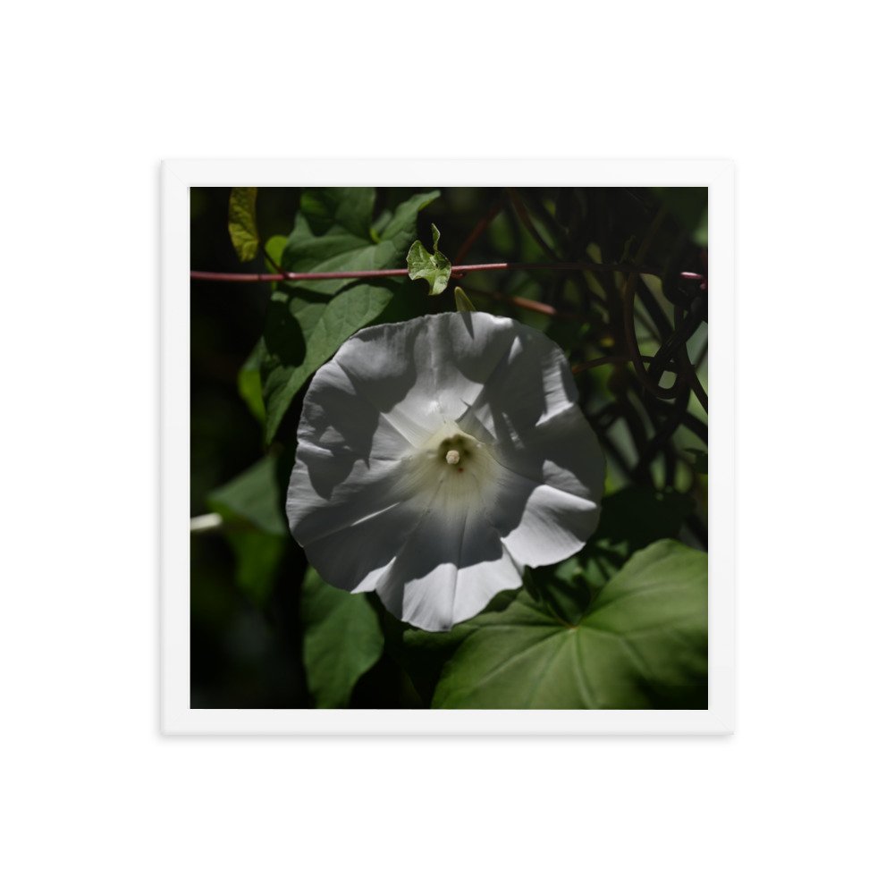 enhanced-matte-paper-framed-poster-(in)-white-16x16-transparent-654fdb328d3a2.jpg