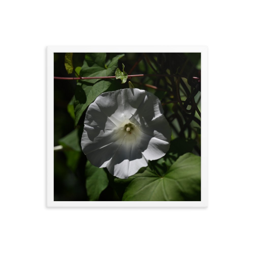 enhanced-matte-paper-framed-poster-(in)-white-18x18-transparent-654fdb328d46a.jpg