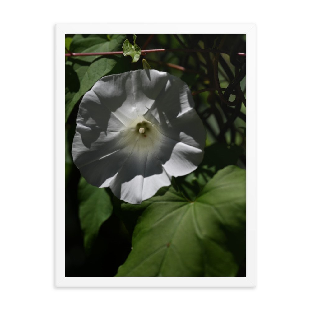 enhanced-matte-paper-framed-poster-(in)-white-18x24-transparent-654fdb328d4c3.jpg