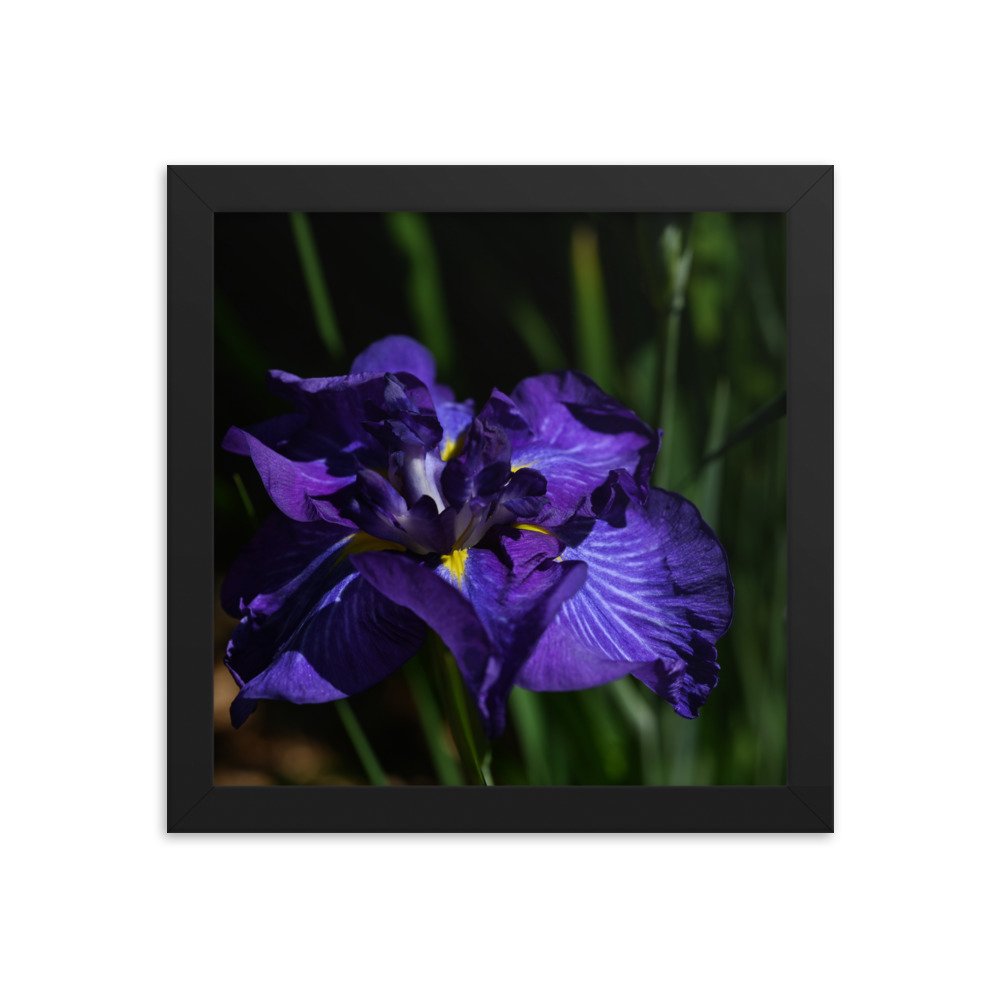 enhanced-matte-paper-framed-poster-(in)-black-10x10-transparent-654ff2ecde7a9.jpg