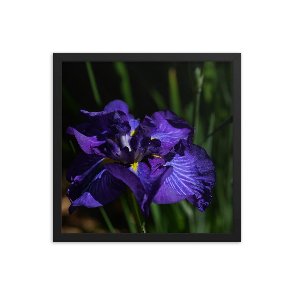 enhanced-matte-paper-framed-poster-(in)-black-16x16-transparent-654ff2ecdea91.jpg