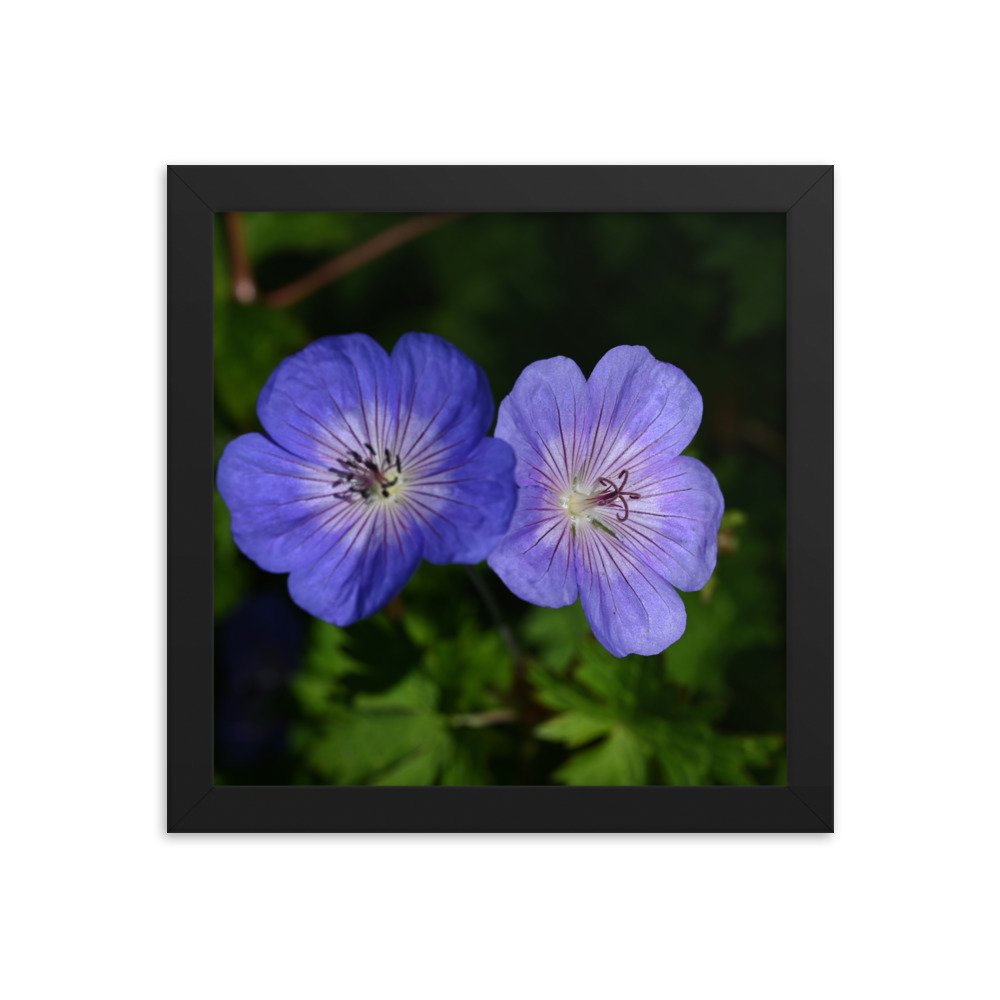 enhanced-matte-paper-framed-poster-(in)-black-10x10-transparent-654ff59ec79ba.jpg