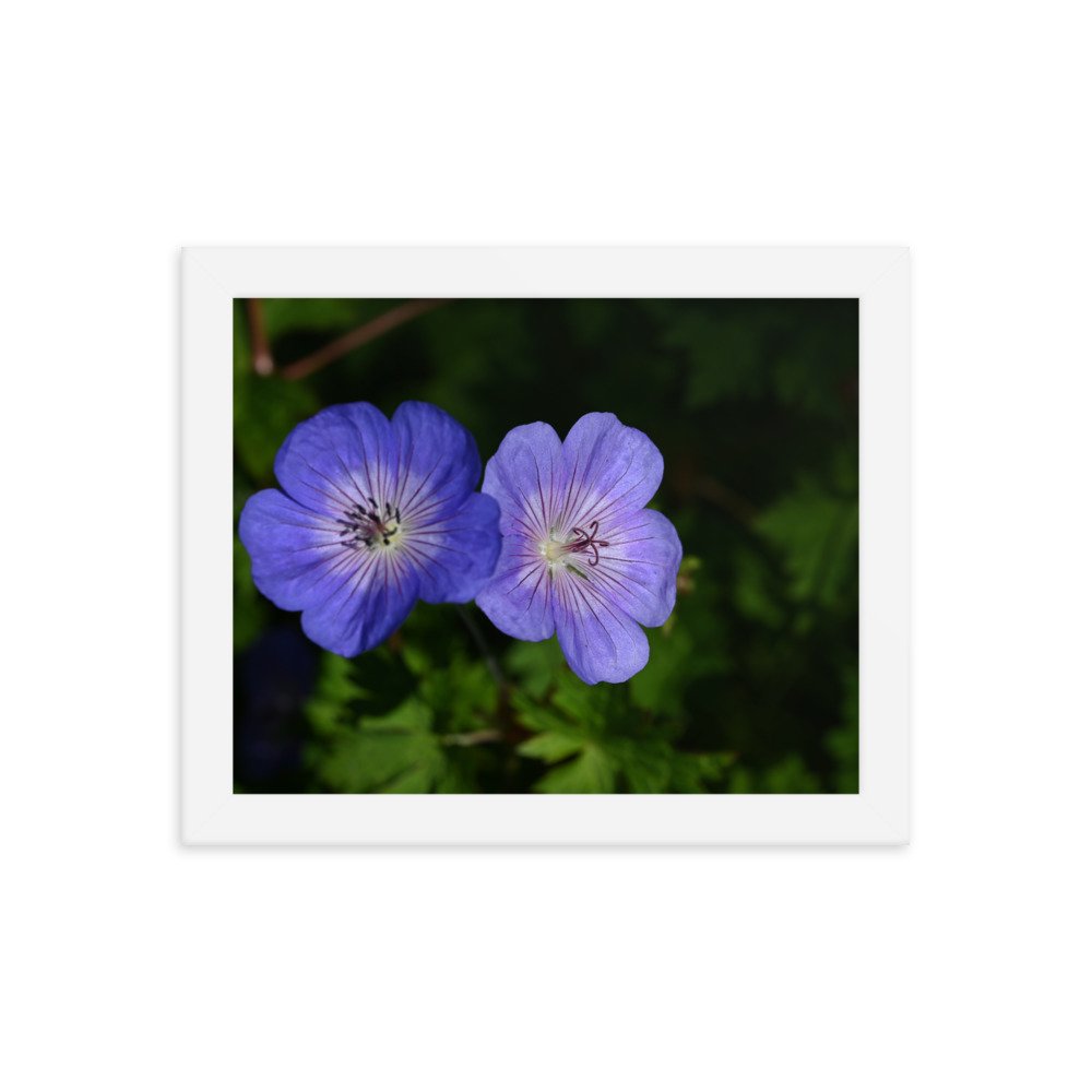 enhanced-matte-paper-framed-poster-(in)-white-8x10-transparent-654ff59ec7ee1.jpg