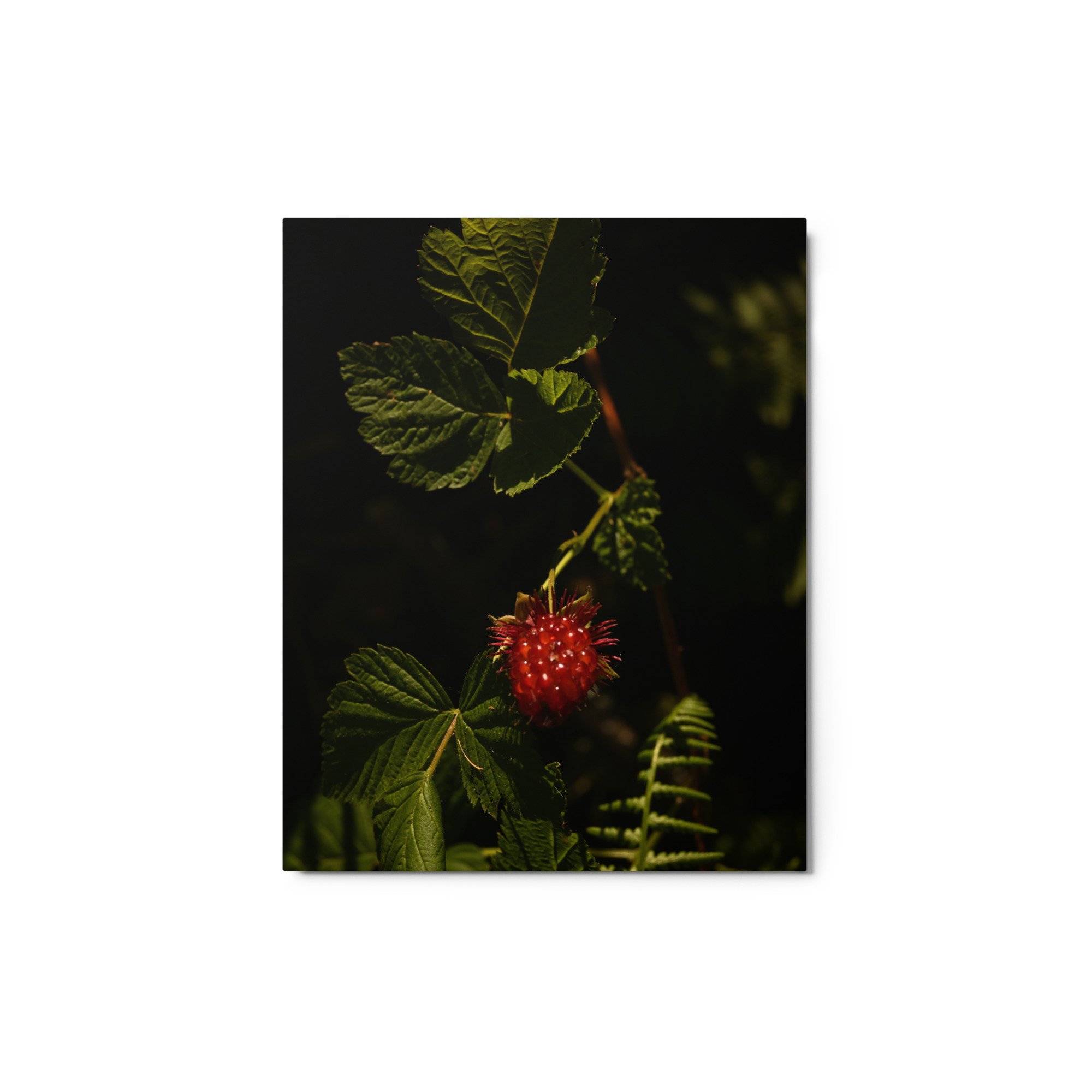 glossy-metal-print-(in)-white-8x10-front-65592fd39bab9.jpg