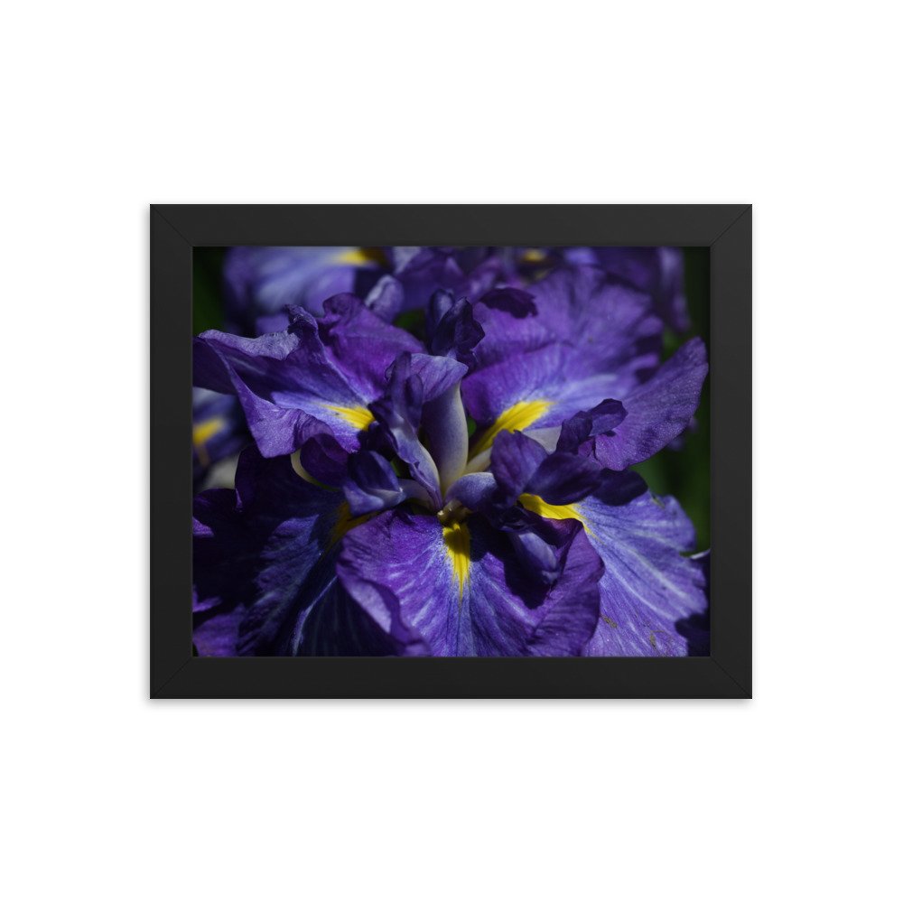 enhanced-matte-paper-framed-poster-(in)-black-8x10-transparent-655939f6d1197.jpg