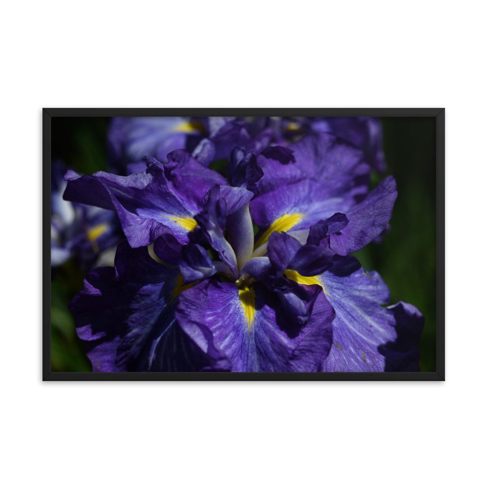 enhanced-matte-paper-framed-poster-(in)-black-24x36-transparent-655939f6d15f7.jpg