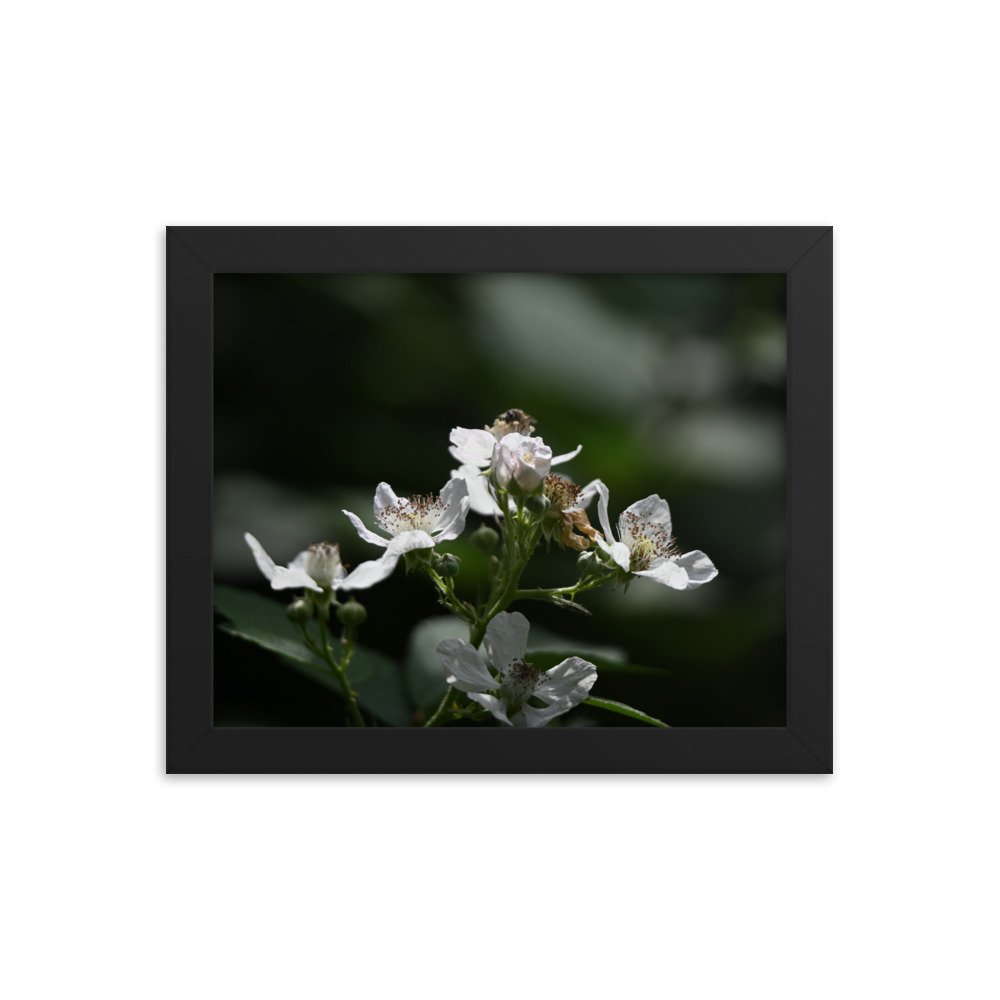 enhanced-matte-paper-framed-poster-(in)-black-8x10-transparent-655944310b05b.jpg