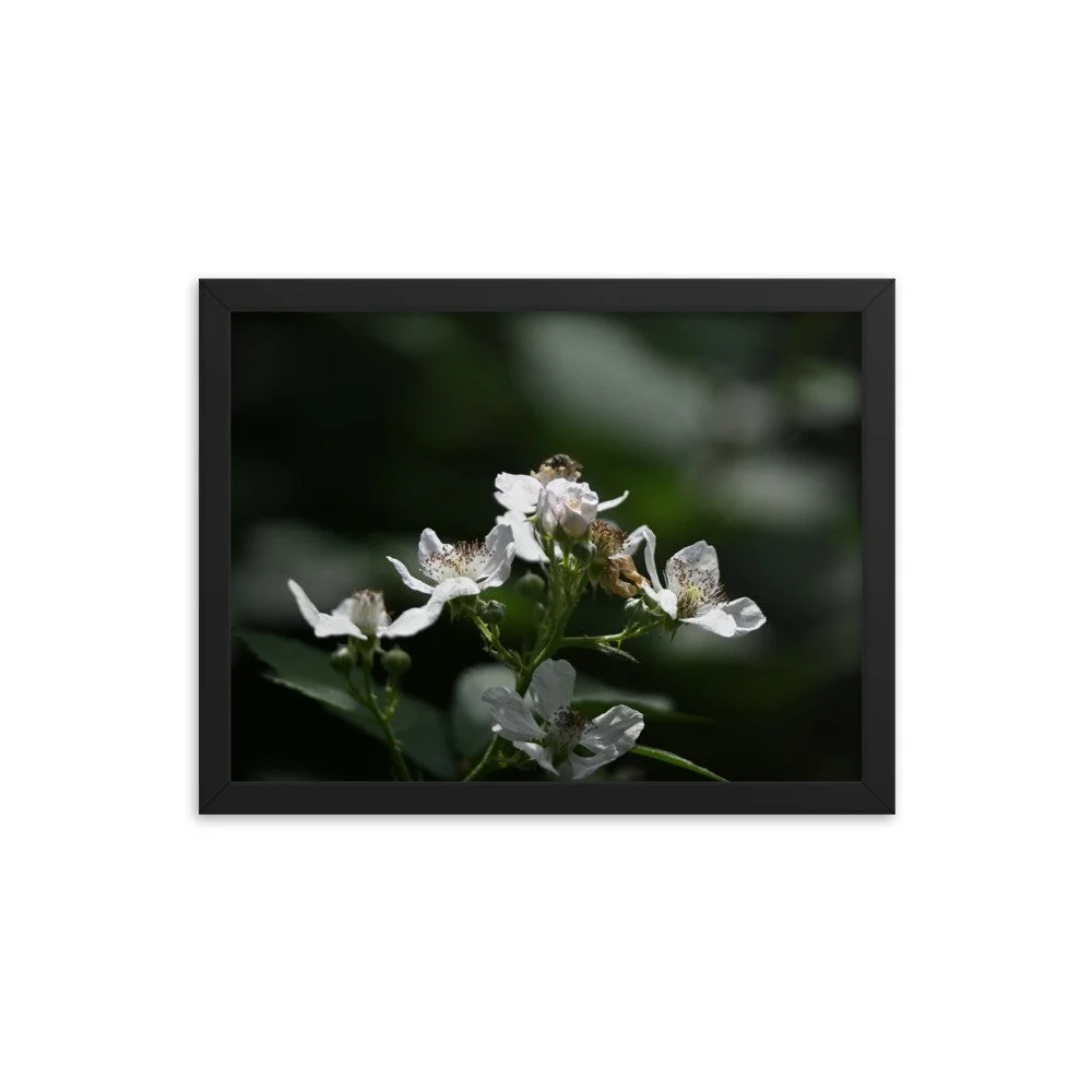 enhanced-matte-paper-framed-poster-(in)-black-12x16-transparent-655944310b212.jpg