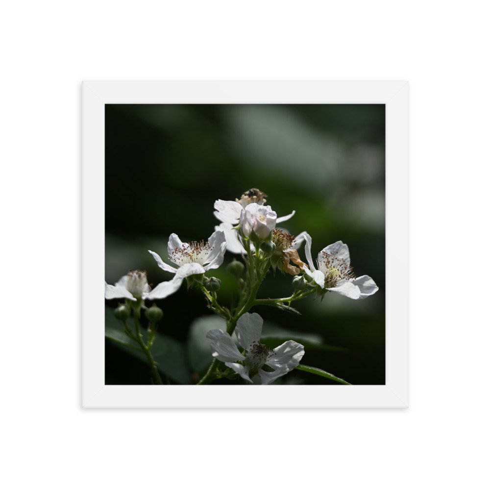 enhanced-matte-paper-framed-poster-(in)-white-10x10-transparent-655944310b6a1.jpg