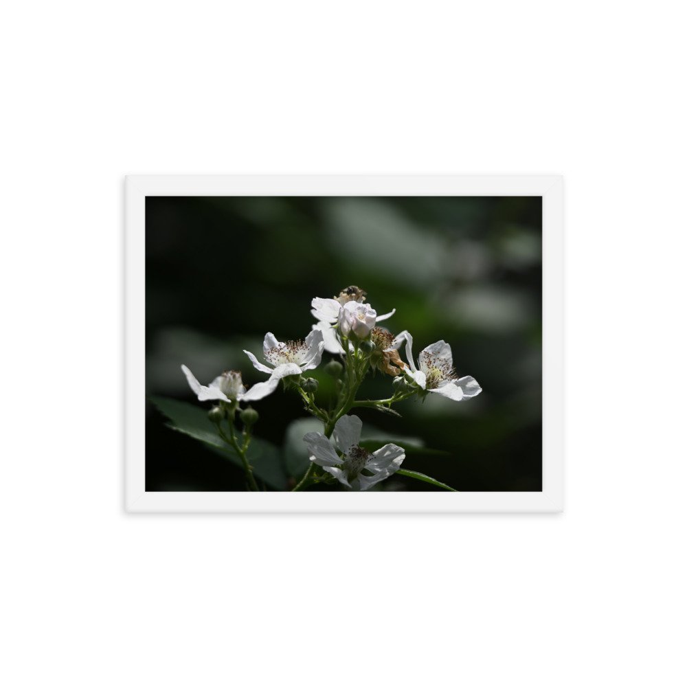 enhanced-matte-paper-framed-poster-(in)-white-12x16-transparent-655944310b7a3.jpg