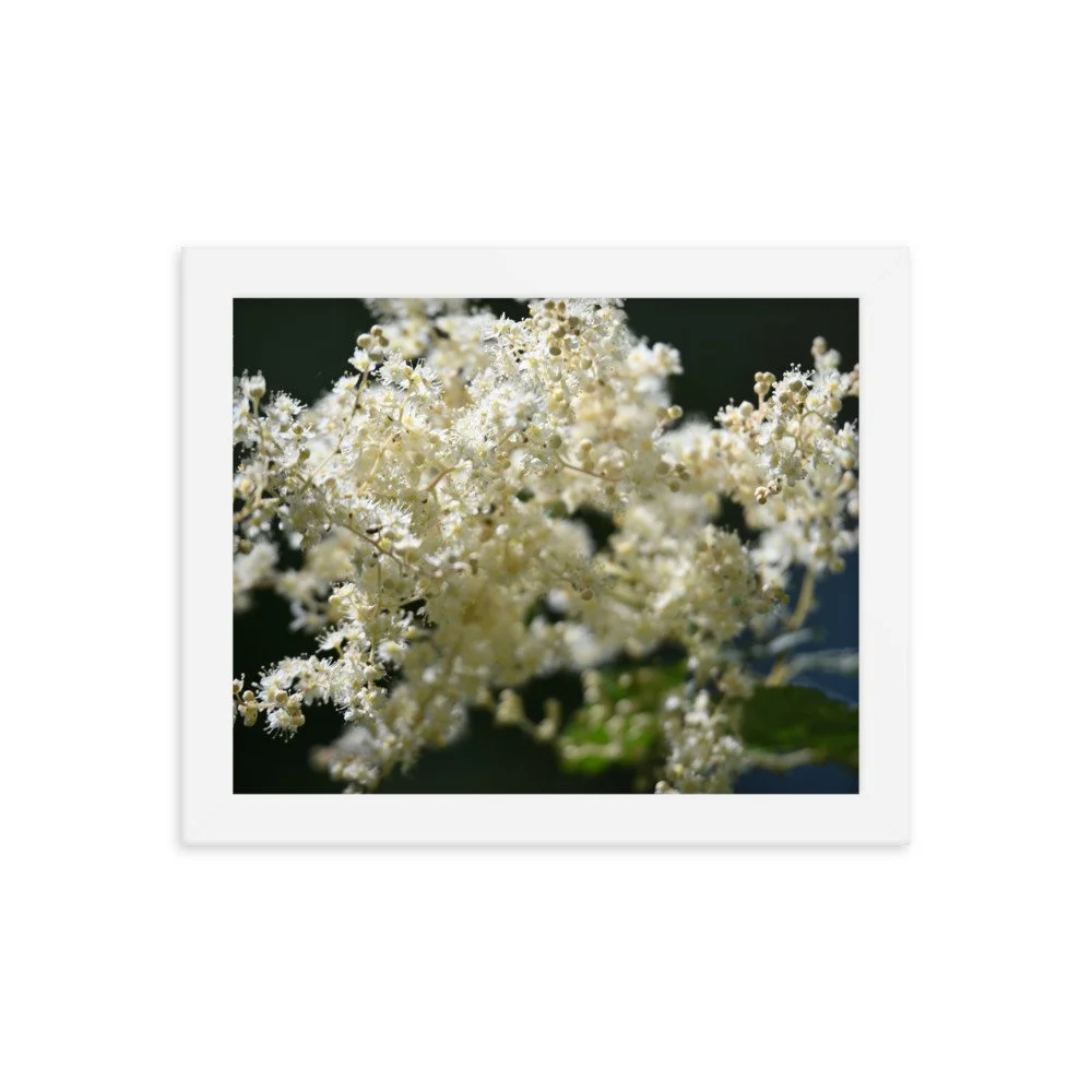 enhanced-matte-paper-framed-poster-(in)-white-8x10-transparent-655948961e589.jpg