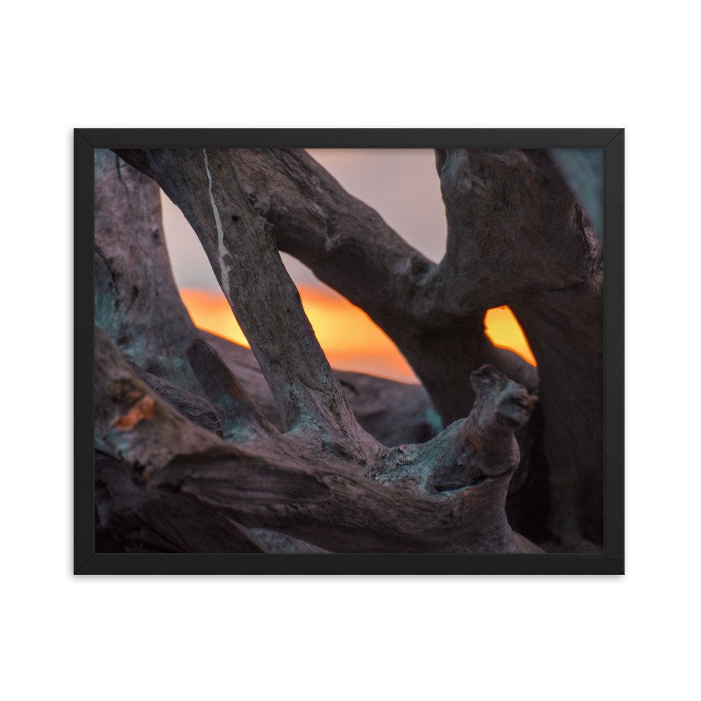 enhanced-matte-paper-framed-poster-(in)-black-16x20-transparent-6592cae71f35c.jpg
