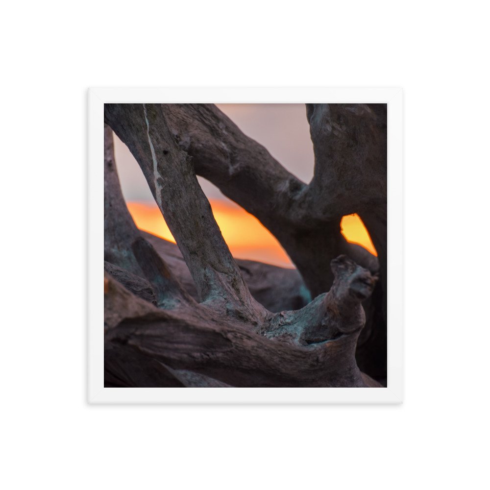 enhanced-matte-paper-framed-poster-(in)-white-14x14-transparent-6592cae71f65a.jpg