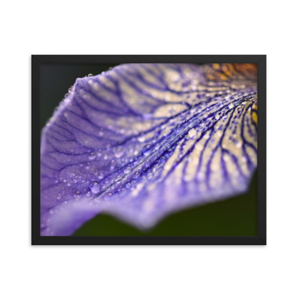 enhanced-matte-paper-framed-poster-(in)-black-16x20-transparent-6592ce781bde1.jpg