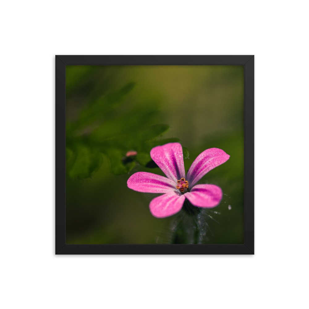 enhanced-matte-paper-framed-poster-(in)-black-14x14-transparent-6592d2a23c048.jpg