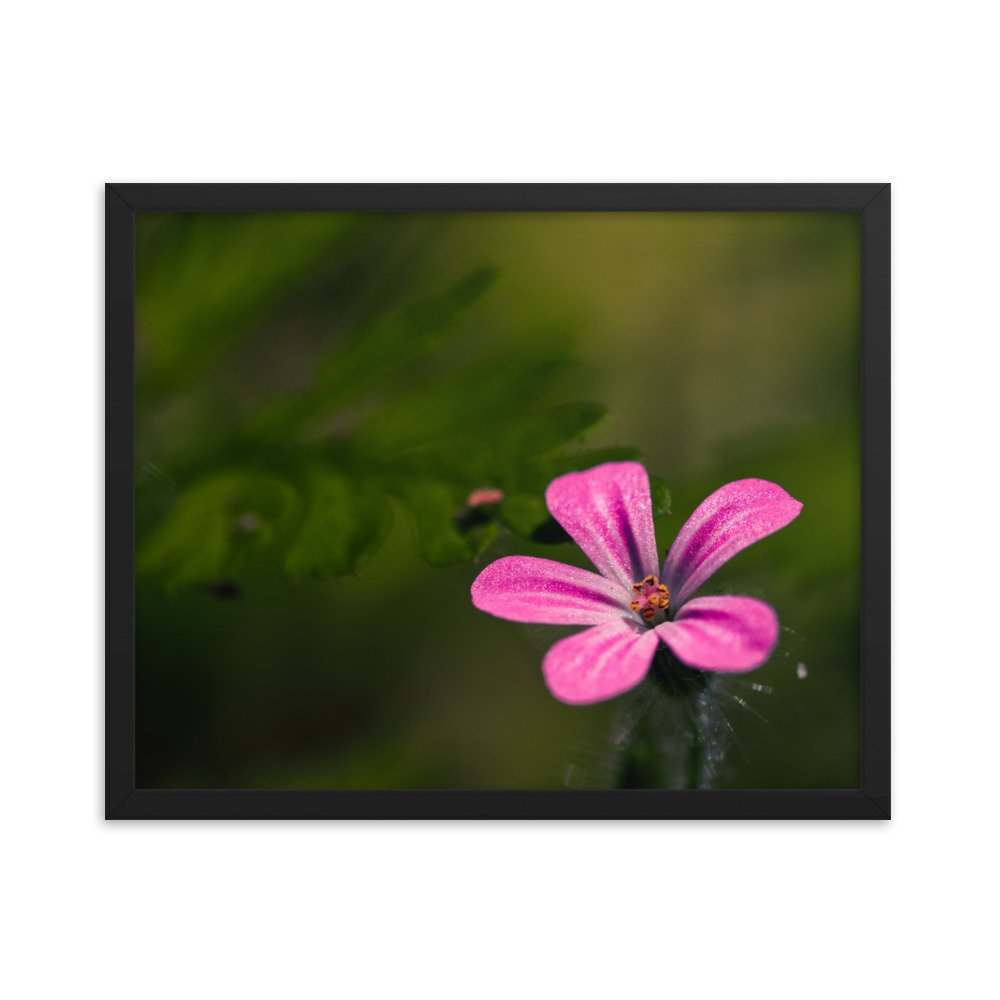 enhanced-matte-paper-framed-poster-(in)-black-16x20-transparent-6592d2a23c1a5.jpg