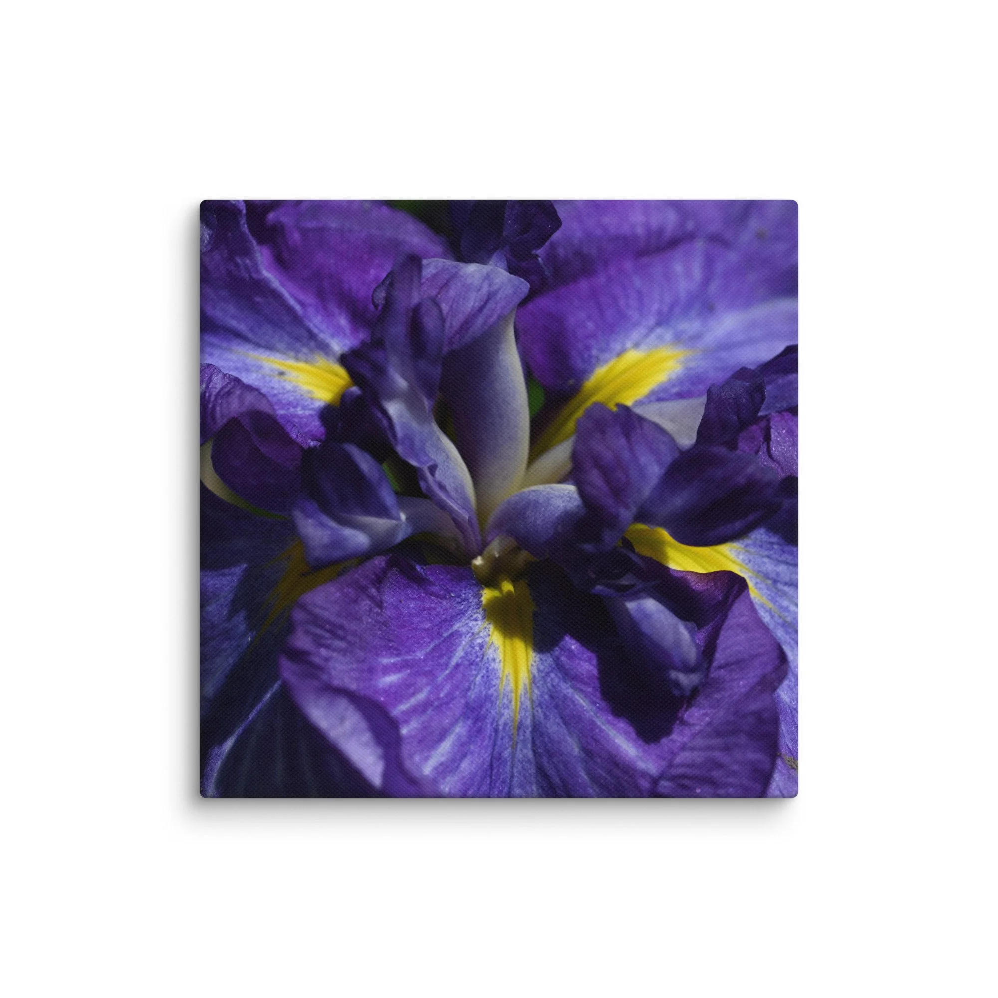 canvas-(in)-16x16-wall-665128888d919.jpg