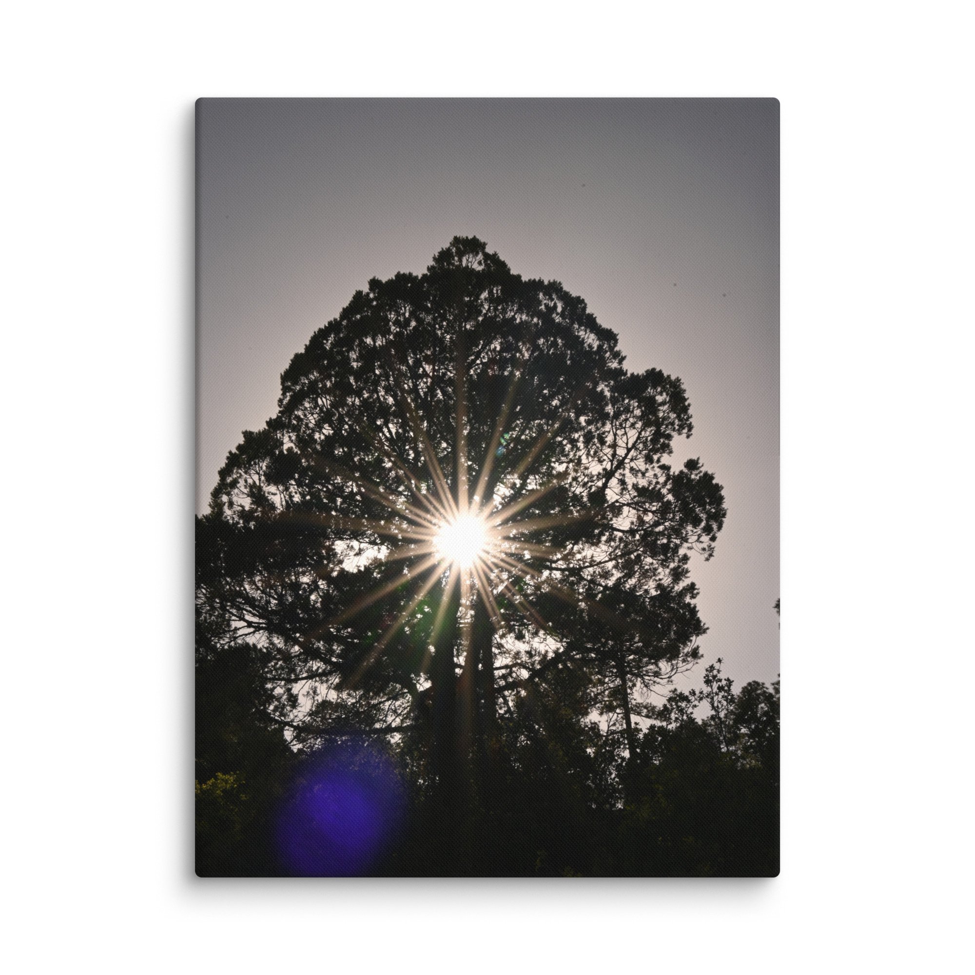 canvas-(in)-18x24-wall-666cc0ab5fb66.jpg
