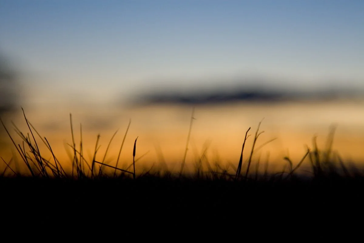 copyright molly wagoner_for mica.jpg