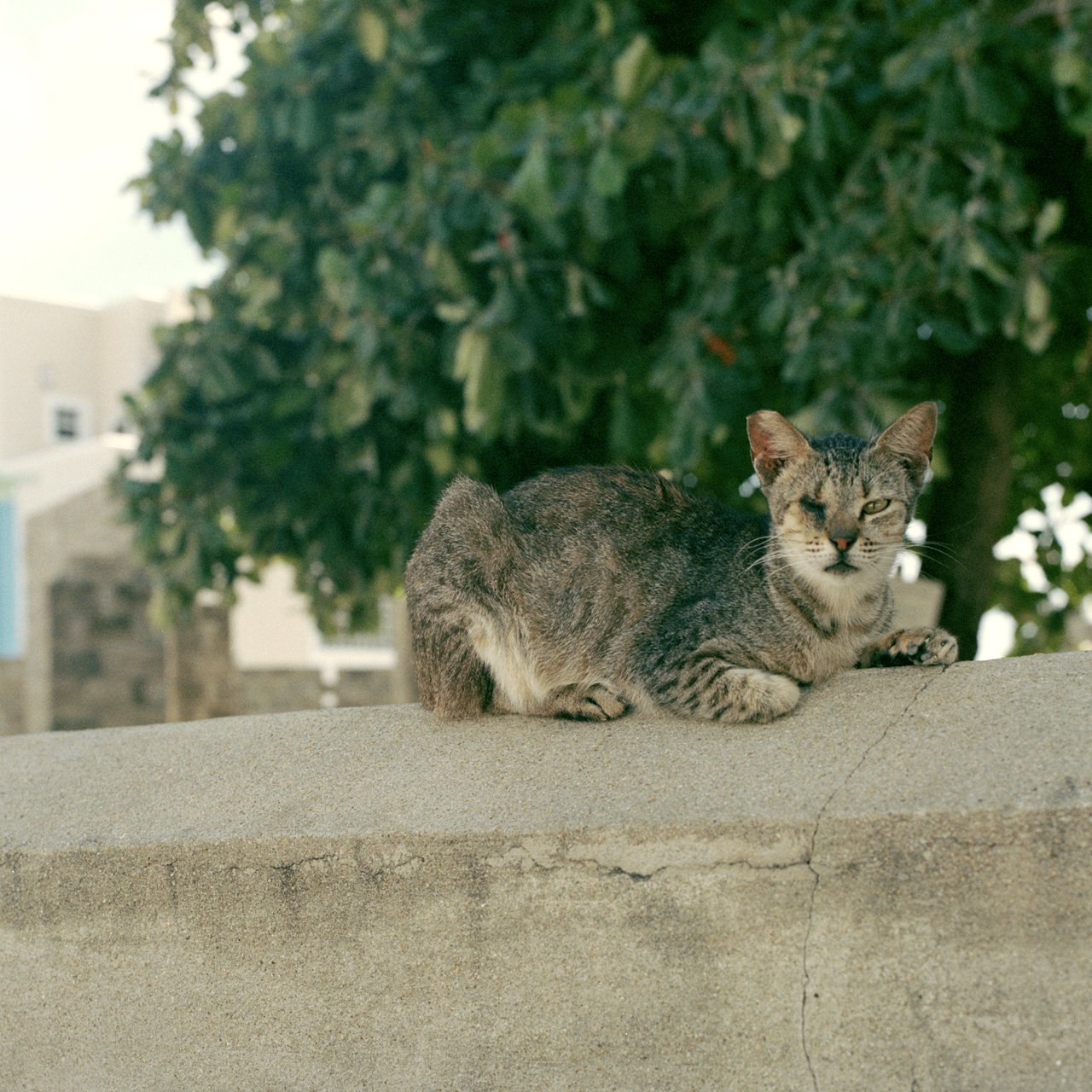 copyright molly wagoner_wisdom.jpg