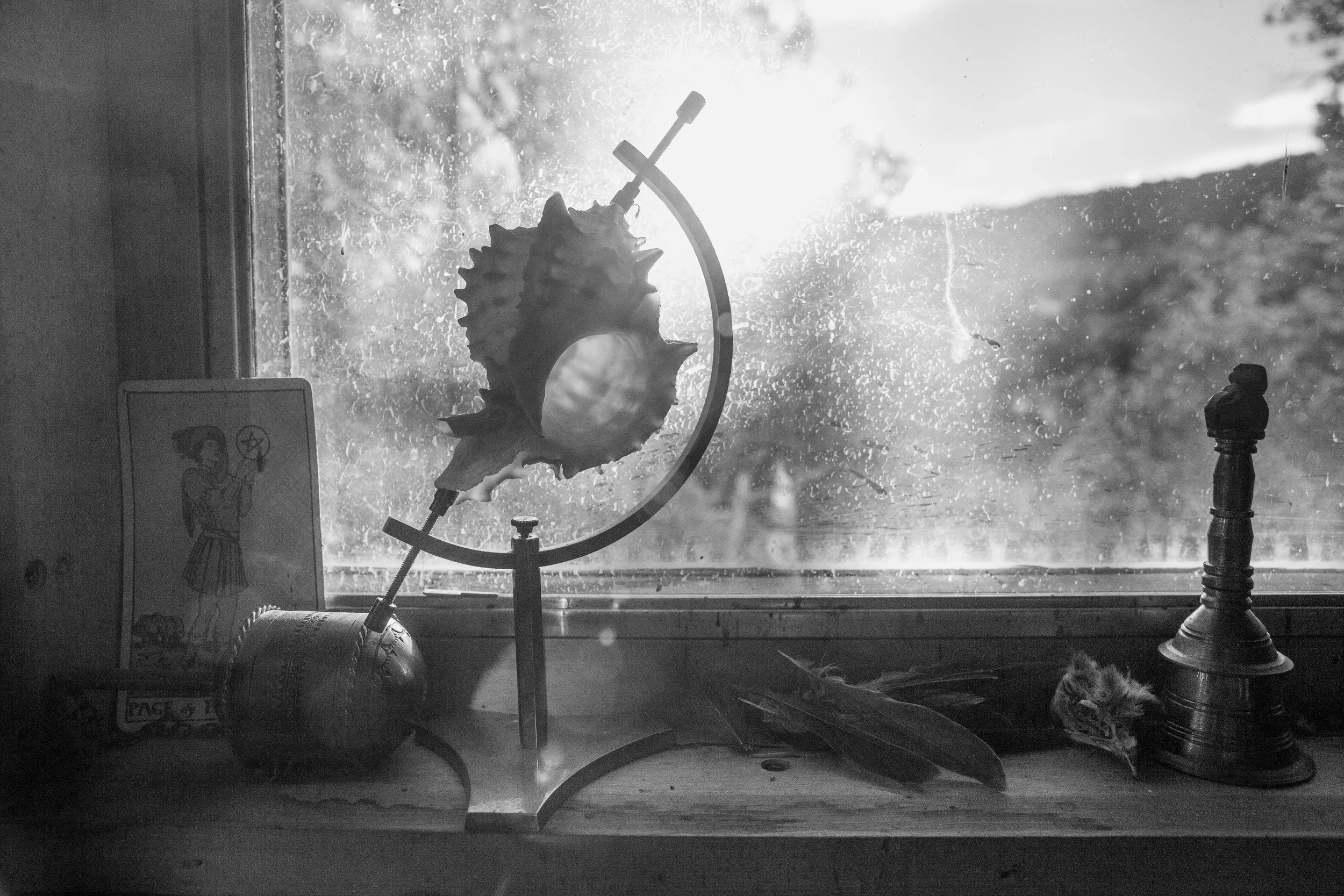 Dezbah_MG_9177bw copy.jpg