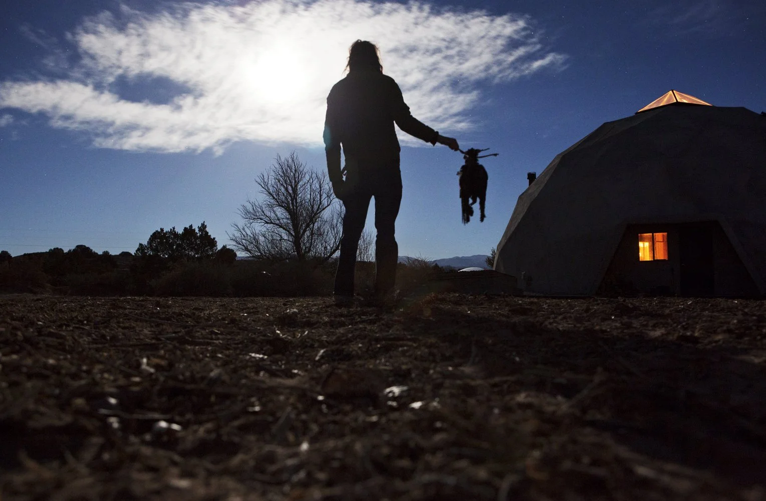 copyright molly wagoner_ben and the crow.jpg