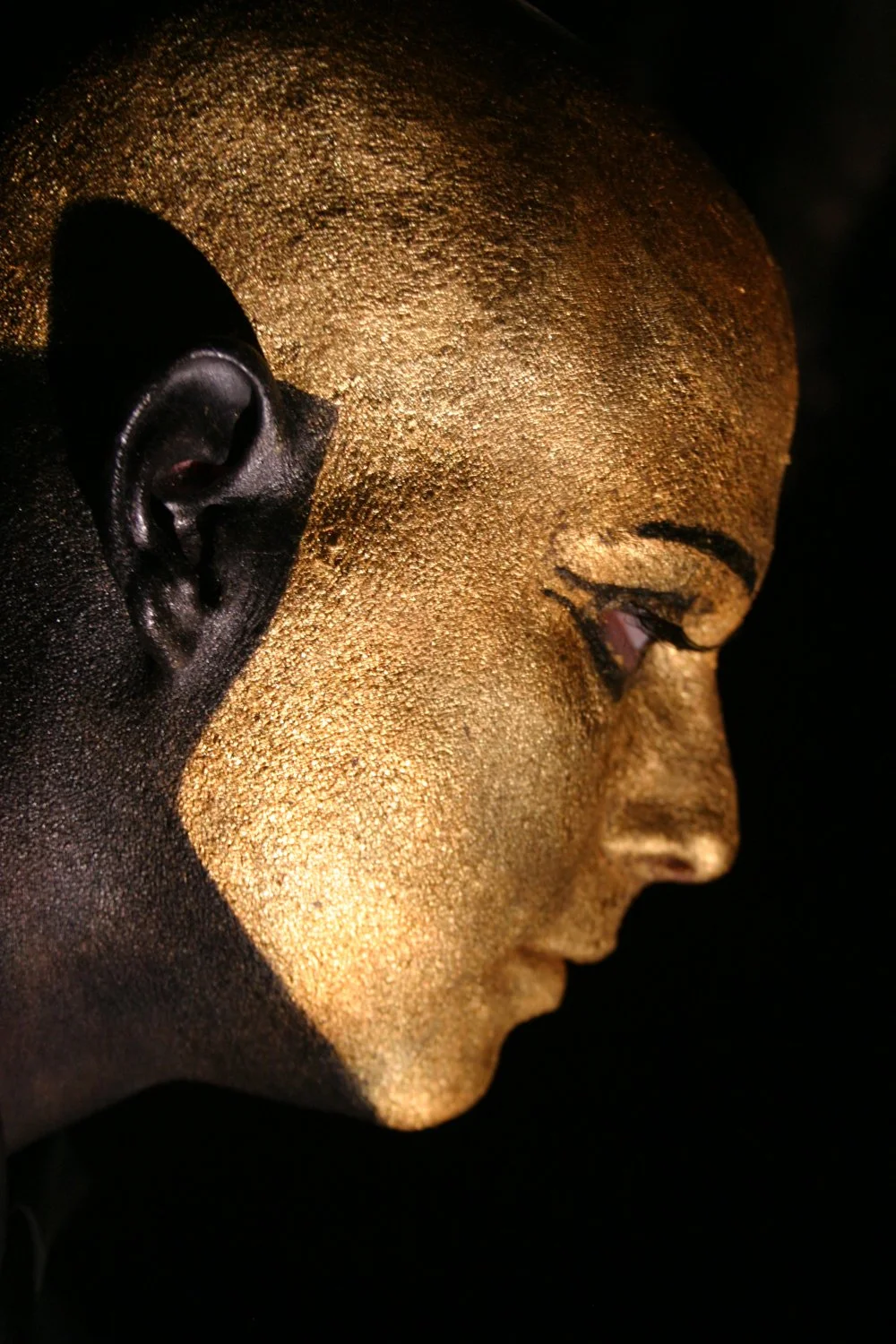 copyright Molly Wagoner -solo.jpg