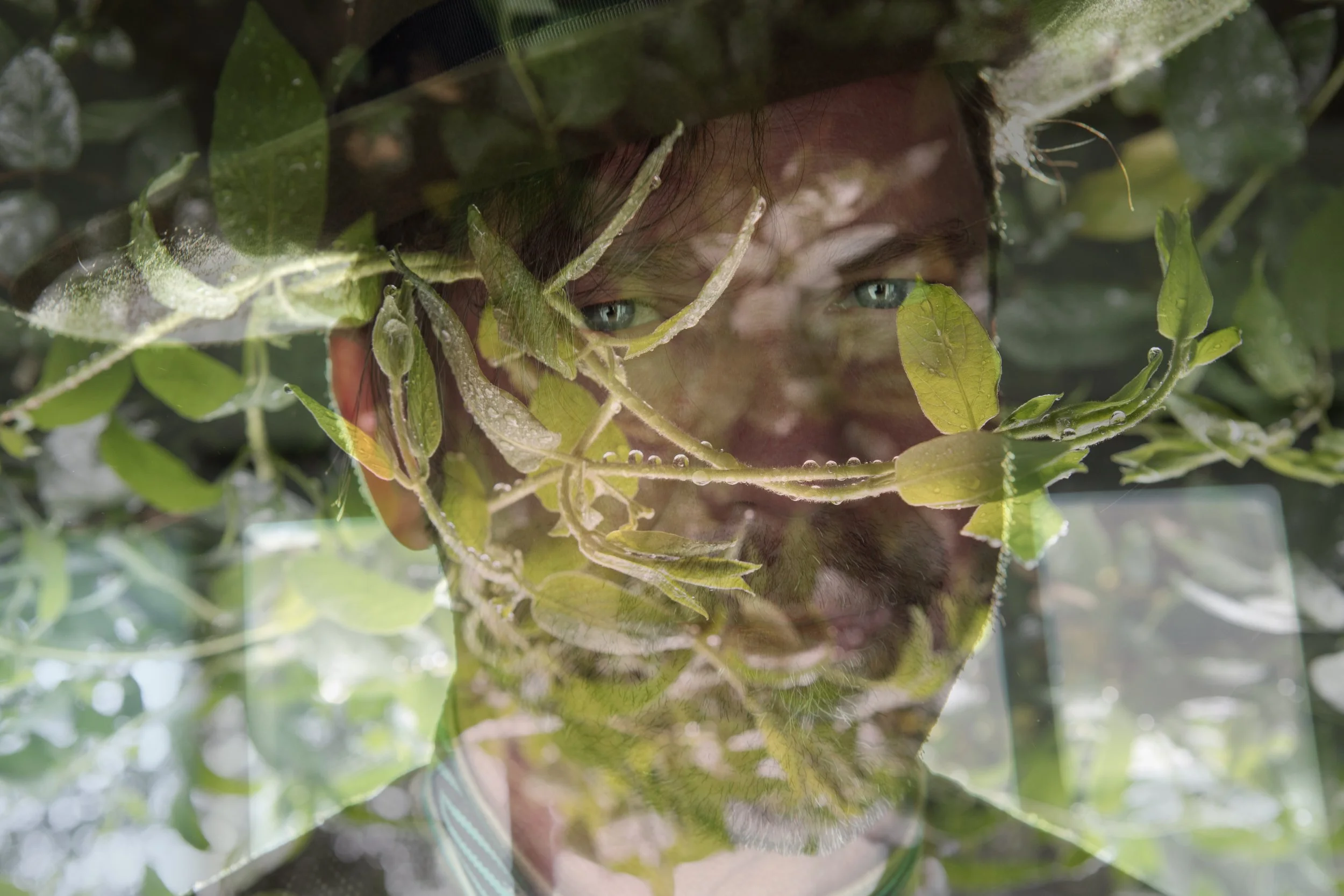 Jungle in my mind_working copy.jpg